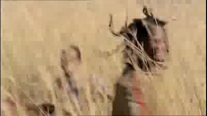 Футболни асове в реклама на Pepsi 