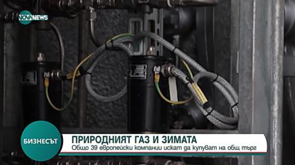 Десетки европейски компании искат да купуват газ на общ търг