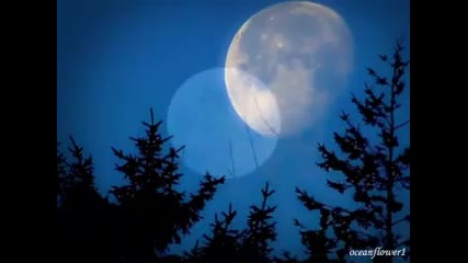 Omar Akram - Whispers in the moonlight 
