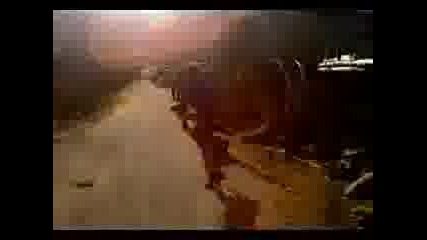 Freerun Hlapaci1