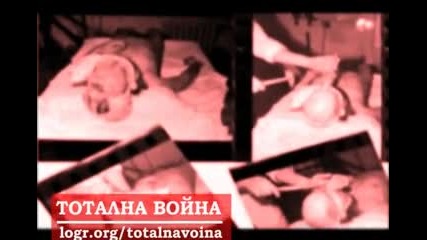 Една година Тотална Война 