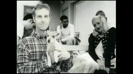 No Doubt - Running