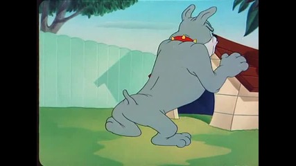 Tom and Jerry - The Framed Cat 