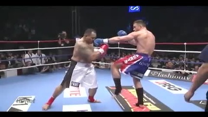 Peter Aerts vs Mighty Mo - K - 1 World Gp Quarter Final 2010 