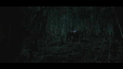 Wake Wood Trailer