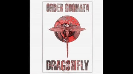 The Infinity Project - Brain Bokka 
