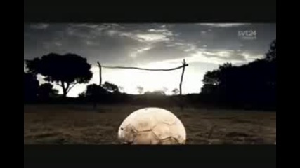 Животни играят футбол (world Cup South Africa 2010) 