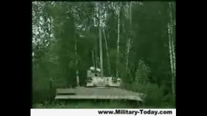 2s31 Vena