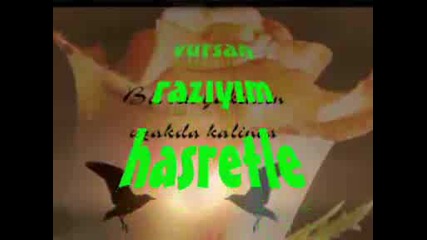 Dd00665c.flv