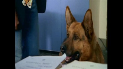 kommissar rex 10 сезон, 6 серия, 2 част 