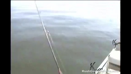 26 Lb Flathead! Real Catfish Fishing at Santee Cooper with Rushguideservice 
