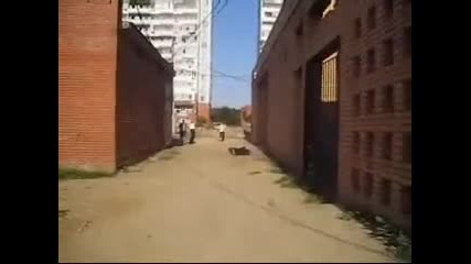 Помисли, че е spider - man ! 