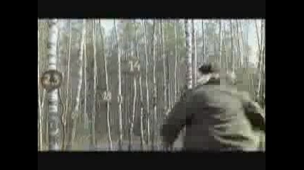 Forest - Sportka