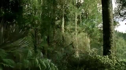 Убийствена реклама на Old Spice