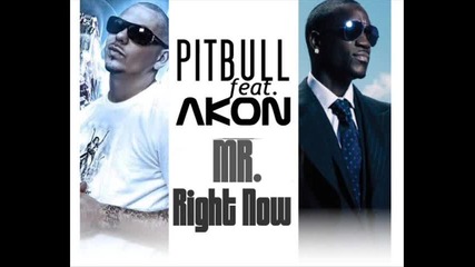 * 2011 * Pitbull Ft. Akon - Mr. Right Now 