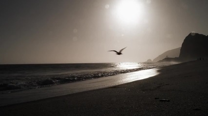 One Direction - What Makes You Beautiful [official video]