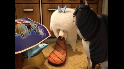 Best of Open Season 3 
