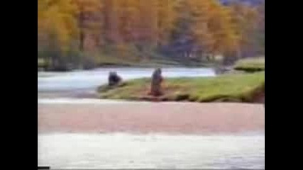 борба за риба