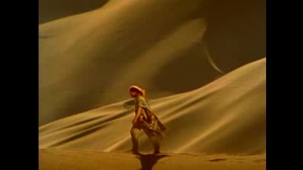 Simply Red - Stars