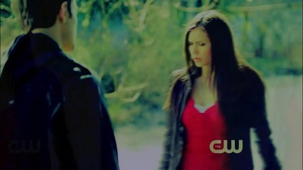 the best of The Vampire Diaries Humor