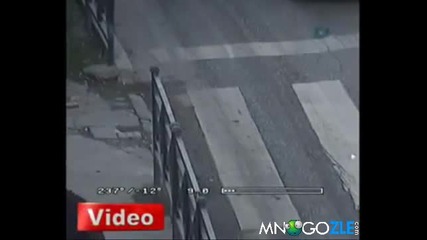 Гълъб пресича на пешеходна пътека