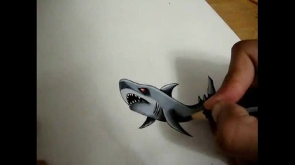 Drawing Shark Sketch