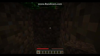 Minecraft Ocelqvane 1
