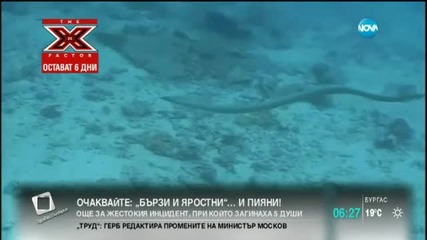 Синоптици бият тревога заради явлението Ел Ниньо