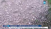 Градушките - най-скъпи за застрахователите - централна емисия