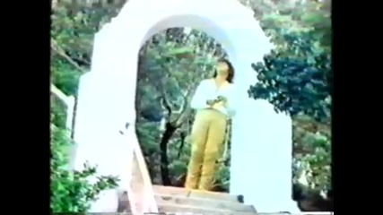 Daryl Braithwaite - If You Walked Away