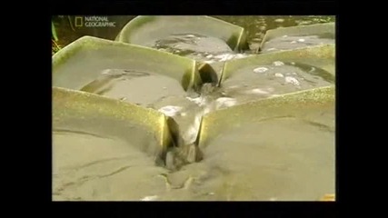 Не знаех това 5 [3/3]
