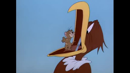 Tom And Jerry Flyrti Birdy