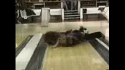 Bowling