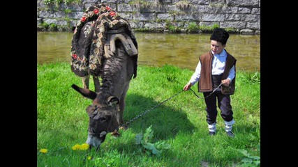 Снимки От България