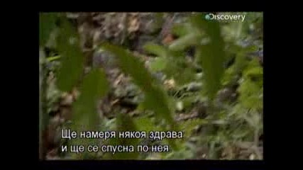 Оцеляване на предела Панама - с превод част [1/2]