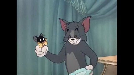 Tom & Jerry Gipsy Cats