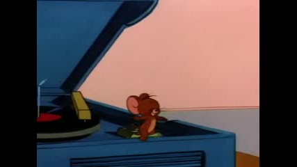 Tom & Jerry - Down Beat Bear!
