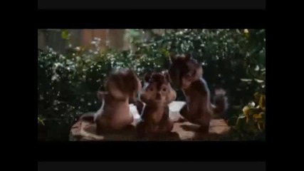 Chipmunks - Happy Birthday To You