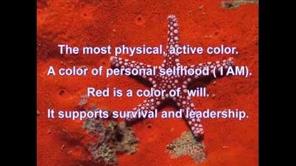 Healing Therapy Music - Red Energy