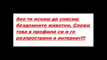 Help !!!