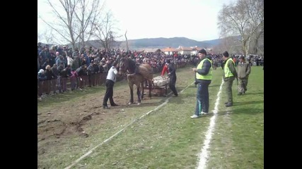 Бойко - 1 - Тодоровден Стрелча 2013