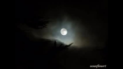 Ernesto Cortazar - Serenade under the moonlight