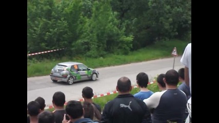 Rally vida 2010