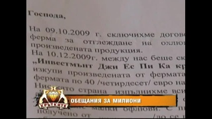 btv - Отглеждането на охлюви - бизнес за милиони