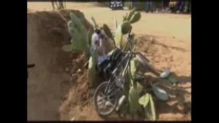 Jackass And Bike
