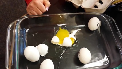 We'll Count Your Eggs Before They Hatch