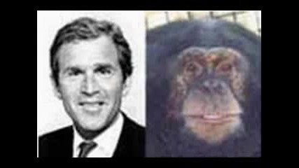 Прилики На Джордж Буш С Маймуни