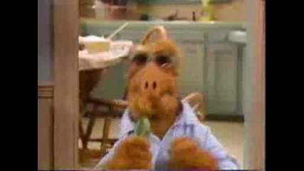 Alf :d:d:dxdxdxdxd