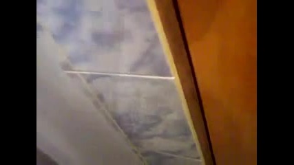 Най-културната котка на Света!