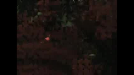 Bon Jovi Party 3 - Part 2